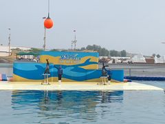 -秦皇岛乐岛海洋王国