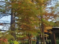 -宝界山林公园