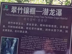 -藏龙百瀑风景区