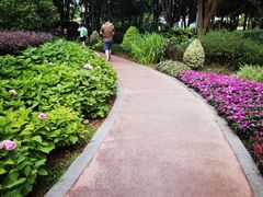 -北外滩滨江绿地