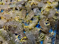 -徐记海鲜(大雁塔|金都店)