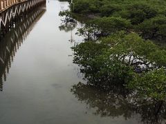 -北海金海湾红树林生态旅游区