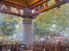 -Tangled Tree Tavern 老藤树食栈