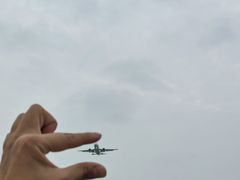 -空港花田景区