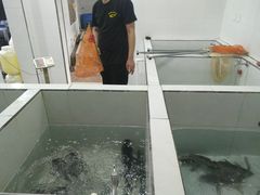 -贡椒鱼老店·雅安十大名店