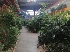 -君临七星生态酒店