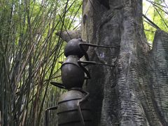 -东部华侨城