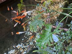 -聚缘堂·海鲜私房菜(松岭路店)