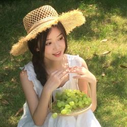 -IDOL-PLUS
