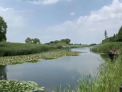 -太湖湖滨国家湿地公园-停车场