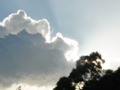 -四海公园(南山区)