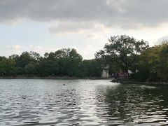 -紫霞湖公园