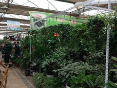 -秦美花卉(天朗·莱茵小城2期店)
