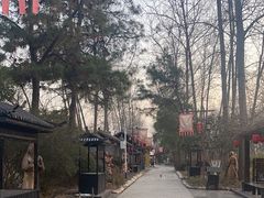 -合肥滨湖国家森林公园