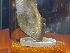 -紫金山天文台