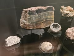 -正佳自然科学博物馆