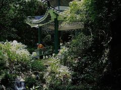 -广州市白云山风景名胜区