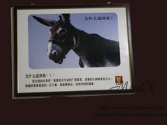 王胖子3-王胖子驴肉火烧(鼓楼店)