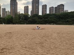 -青枫公园
