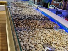 -万象·复兴号鲜肉烤肉海鲜自助(升级店)