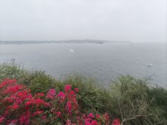 -涠洲岛火山国家地质公园