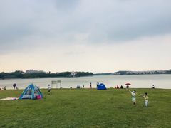 -仙湖旅游度假区