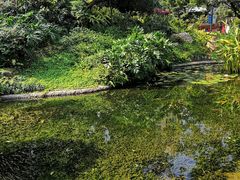 -晓港公园