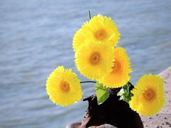 -多瑙河畔鞋履雕塑