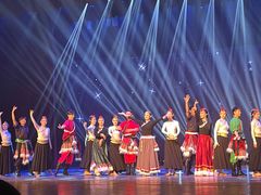 -舞蕾舞蹈(特长生校区)