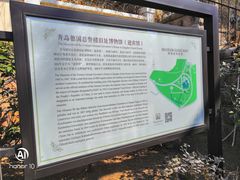-青岛德国总督楼旧址博物馆