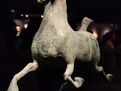 -甘肃省博物馆