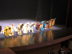 -北京大学百年讲堂