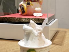-柠檬车露(卖草地店)