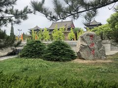 -大槐树寻根祭祖园