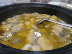 -长田漾湿地公园