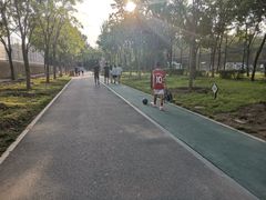 -回龙观体育文化公园