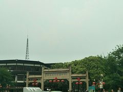 -同里国家湿地公园