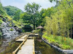 -苍龙峡风景区