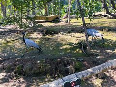 -哈尔滨北方森林动物园