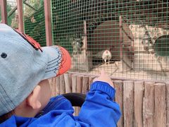 -南宫五洲植物乐园