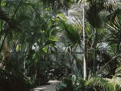 -国家植物园南园