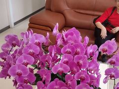 -海之声助听器佛山旗舰店(华麟大厦店)