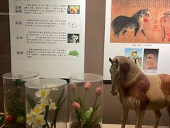 -西安大唐西市博物馆