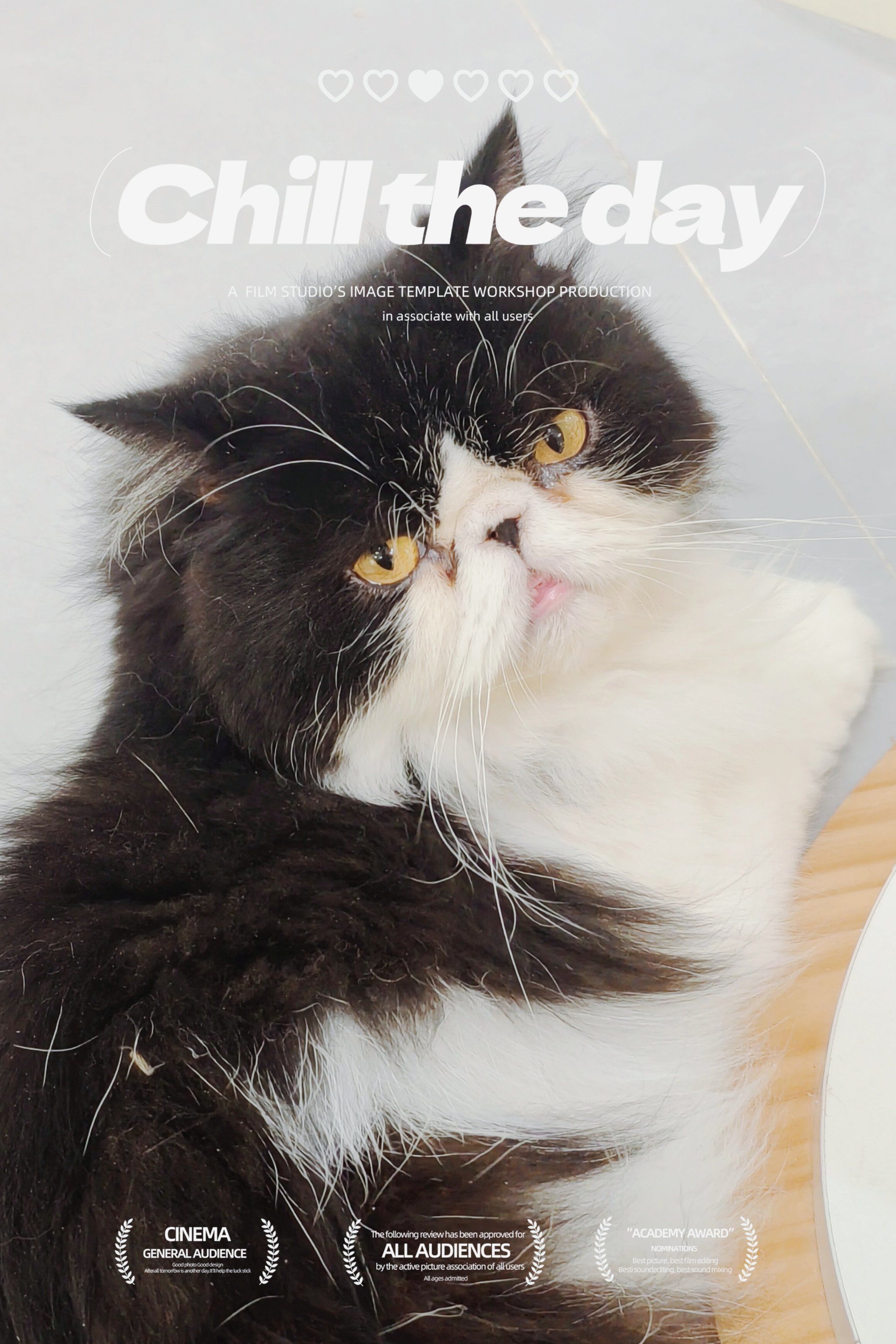 你确定这个不是爱猫人的天上人间!