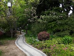 -嘉定紫藤园