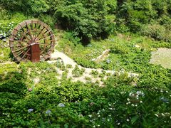 -鼓岭旅游度假区