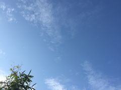 -黎阳老街