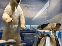 -国家自然博物馆