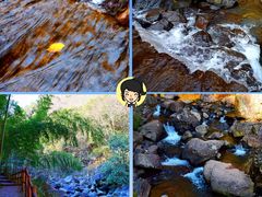 -溪口-滕头旅游景区