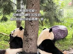 -西安秦岭野生动物园